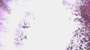 Soyut sıvı sanat arka planı, metalik parlak mor turkuaz su, büyülü nehir ve fantezi okyanus dalgaları. Parlak ve yanardöner mürekkep parçacıklarının hareketinin makro videosu. Yüksek kaliteli video