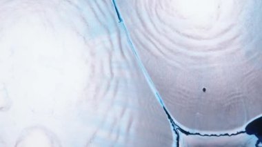 Soyut sıvı sanat arka planı, metalik parlak mor turkuaz su, büyülü nehir ve fantezi okyanus dalgaları. Parlak ve yanardöner mürekkep parçacıklarının hareketinin makro videosu. Yüksek kaliteli video