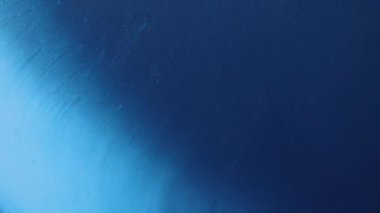 Sıvı boya arka planda sıçrama ve girdapla karışımı. Akışkan sanat çizimi videosu. Beyaz, mavi ve altın renkli ayrıntılı arka plan hareketi. Renkli dalgalı akrilik dokusu. 