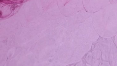 Sıvı boya arka planda sıçrama ve girdapla karışımı. Sıvı mermer dokular. Akışkan sanat. Soyut renkli tasarım dokusu. Arka plan mermer videosu. Dalgalanan parlayan yüzey.