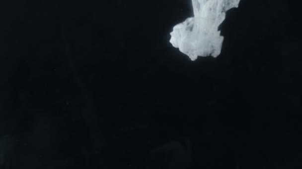 Tinta Putih Menyebar Dalam Air Latar Belakang Hitam Gerakan Fluida — Stok Video