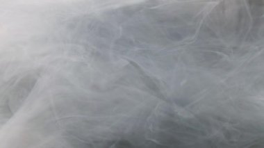 Siyah arka planda beyaz mürekkep suya yayılıyor. Parıldayan sıvı hareketi. Renkli akrilik bulut soyut duman arkaplanı. 