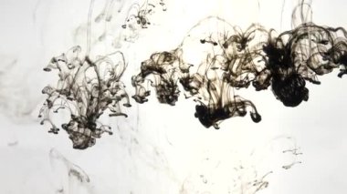 Siyah mürekkep beyaz arka planda suya yayılıyor. Parıldayan sıvı hareketi. Renkli akrilik bulut soyut duman arkaplanı. 