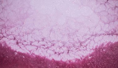 Alkol mürekkebi. Pembe ve mor renkte modern bir resim tekniği. Sanatsal tasarım. Bu sihirli sanatı yaratmak için resimler, ek olarak gümüş parıltılar, çizgiler. Sanat tasarımının başyapıtı.