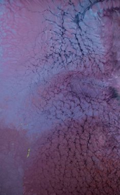 Alkol mürekkebi. Pembe ve mor renkte modern bir resim tekniği. Sanatsal tasarım. Bu sihirli sanatı yaratmak için resimler, ek olarak gümüş parıltılar, çizgiler. Sanat tasarımının başyapıtı.