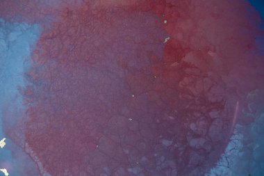 Alkol mürekkebi. Pembe ve mor renkte modern bir resim tekniği. Sanatsal tasarım. Bu sihirli sanatı yaratmak için resimler, ek olarak gümüş parıltılar, çizgiler. Sanat tasarımının başyapıtı.