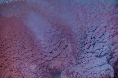 Alkol mürekkebi. Pembe ve mor renkte modern bir resim tekniği. Sanatsal tasarım. Bu sihirli sanatı yaratmak için resimler, ek olarak gümüş parıltılar, çizgiler. Sanat tasarımının başyapıtı.