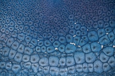 Alkol mürekkebi deniz dokusu. Çağdaş sanat. Soyut sanat geçmişi. Çok renkli parlak bir doku. Sanat eserinin bir parçası. Modern sanat. Gökyüzünden esinlenildiği kadar buhar ve dumandan da. Moda duvar kağıdı.