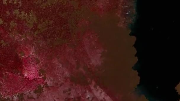 カラフルな抽象エポキシ樹脂塗装 光る流体の動き モーショングラフィックス 視覚効果に適したビデオアート 渦巻く煙は宇宙に似ている 色雲抽象煙の背景 — ストック動画