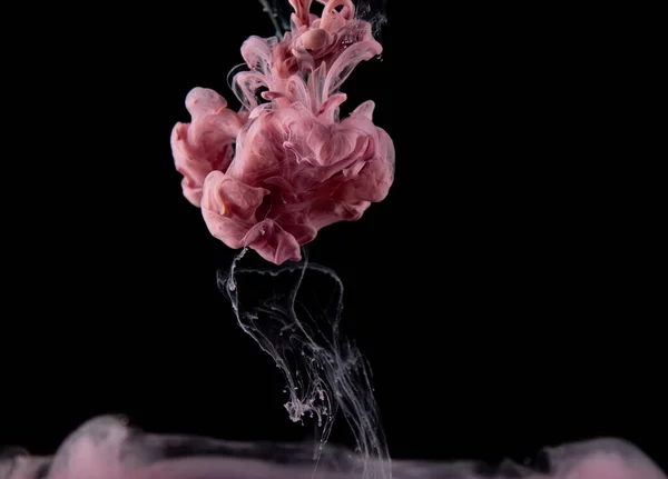 Real shot color paint drops in water. Abstract pink Ink cloud collision isolated on black background. Liquid marble pattern. Modern art. Abstract fluid acrylic painting.