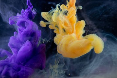 Suya gerçek boya damlaları düşer. Soyut mor mürekkep bulutu çarpışması siyah arkaplanda izole edildi. Sıvı mermer deseni. Modern sanat. Soyut akrilik resim.