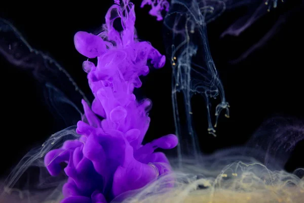 Real shot color paint drops in water. Abstract violet Ink cloud collision isolated on black background. Liquid marble pattern. Modern art. Abstract fluid acrylic painting.