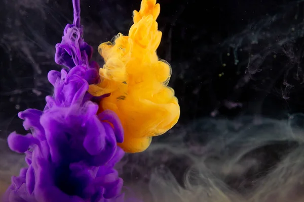 Real shot color paint drops in water. Abstract violet Ink cloud collision isolated on black background. Liquid marble pattern. Modern art. Abstract fluid acrylic painting.