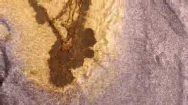 Altın tozu parçacıkları havada yavaş çekimde uçar ve yavaşça kalır. Toz Parçacıkları. Kar tanecikleri. Yüksek kalite 4k görüntü.