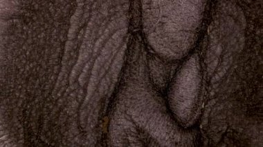 Su dalgalarının, dalgaların, mermerlerin soyut arkaplanı. Güzel sıvı sanat. Akışkan sanat çizimi videosu, renkli dalgalı soyut akrilik doku. Parçacık arkaplanı altında sıvı.