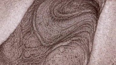 Su dalgalarının, dalgaların, mermerlerin soyut arkaplanı. Güzel sıvı sanat. Akışkan sanat çizimi videosu, renkli dalgalı soyut akrilik doku. Parçacık arkaplanı altında sıvı.