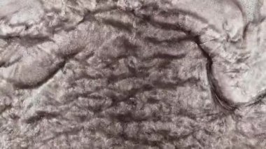 Altın tozu parçacıkları havada yavaş çekimde uçar ve yavaşça kalır. Toz Parçacıkları. Kar tanecikleri. Yüksek kalite 4k görüntü.