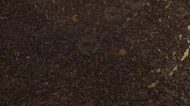 Bronz toz parçacıkları havada yavaş çekimde uçar ve yavaşça kalır. Toz Parçacıkları. Kar tanecikleri. Yüksek kalite 4k görüntü.