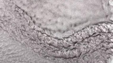 Su dalgalarının, dalgaların, mermerlerin soyut arkaplanı. Güzel sıvı sanat. Akışkan sanat çizimi videosu, renkli dalgalı soyut akrilik doku. Parçacık arkaplanı altında sıvı.