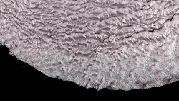 大理石の抽象的な背景 美しい液体アート 流体芸術の描画ビデオ カラフルな波と抽象的なアクリルテクスチャ 粒子の抽象的な背景の下の液体 — ストック動画