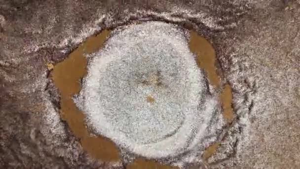 金の塵粒子はゆっくりと空気中のゆっくりとした動きで飛ぶ 塵粒子 雪の粒子の背景 高品質4K映像 — ストック動画