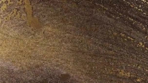 青銅製の塵粒子はゆっくりと空気中でゆっくりと動きます 塵粒子 雪の粒子の背景 高品質4K映像 — ストック動画