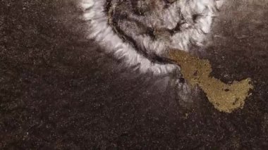 Bronz toz parçacıkları havada yavaş çekimde uçar ve yavaşça kalır. Toz Parçacıkları. Kar tanecikleri. Yüksek kalite 4k görüntü.