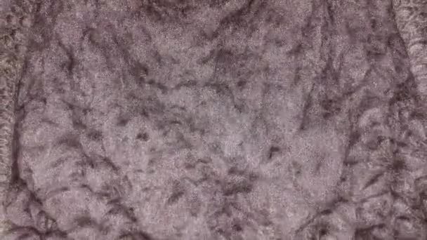 大理石的抽象背景 美丽的液体艺术 流畅的艺术绘画视频 抽象的丙烯酸质感与多彩的波浪 粒子抽象背景下的液体 — 图库视频影像