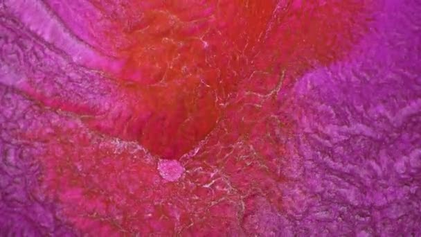 잔물결 대리석등의 뚜렷하게 아름다운 미술그리기 비디오 형형색색의 파도를 추상적 아크릴 — 비디오