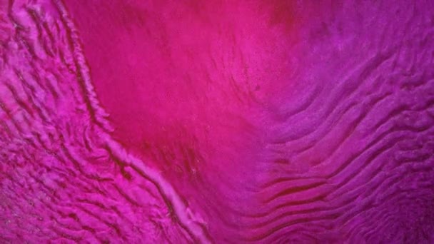 大理石の抽象的な背景 美しい液体アート 流体芸術の描画ビデオ カラフルな波と抽象的なアクリルテクスチャ 流れるようなピンク色の塗料の輝きのシマー — ストック動画