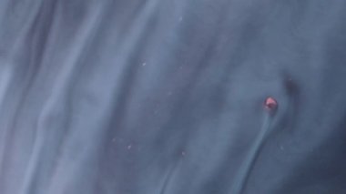 Sıvı boya arka planda sıçrama ve girdapla karışımı. Akışkan sanat çizimi videosu. Renkli dalgalı akrilik doku. Beyaz, siyah ve altın renkli ayrıntılı arka plan hareketi. Yüksek kalite 4k