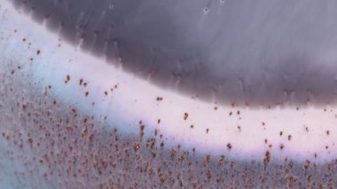 Renkli soyut sıvı tasarım arka planı. Akışkan sanat çizimi, akrilik doku ve akışkan bir etki. Sıvı boya arka planı. Mavi, mor ve sarı taşan renklerle sanatsal hareket.