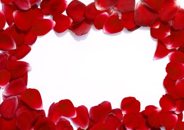 gül yaprakları ile yapılan çerçeve