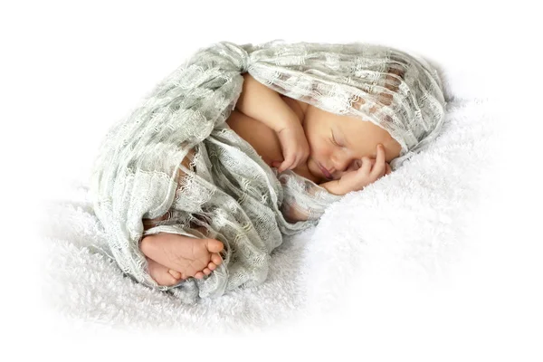 Newborn baby in a cocoon on a white background — Stock Photo, Image