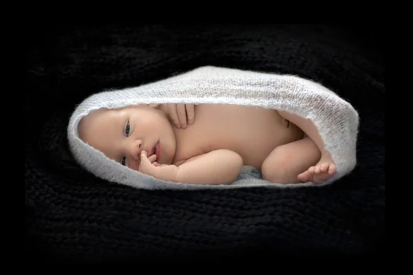 Newborn baby in cocoon — Stock Photo, Image