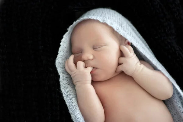 Newborn baby in cocoon — Stock Photo, Image