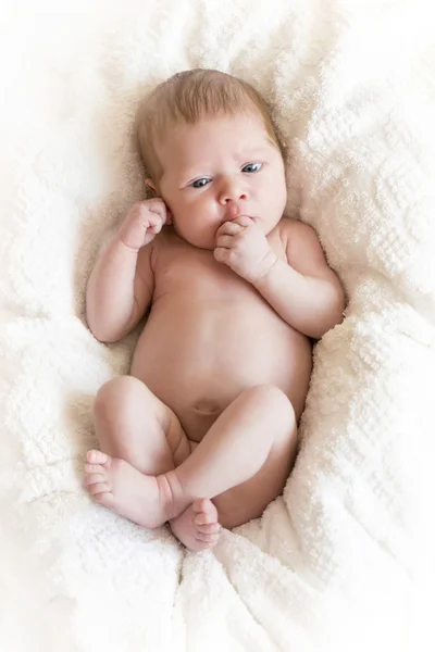 Newborn in bear hat — Stock Photo, Image