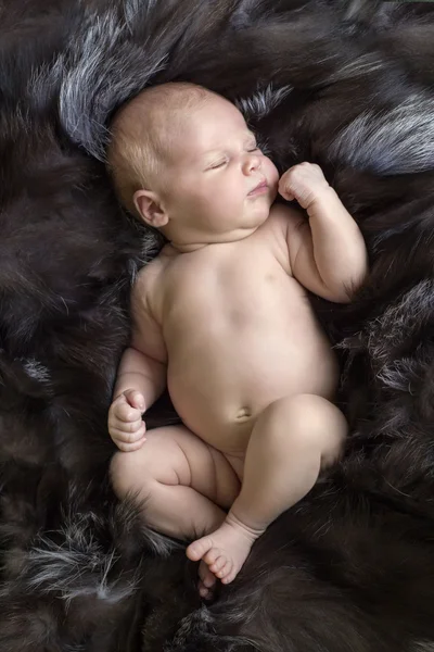 Newborn baby sleeping on fur — Stock Photo, Image