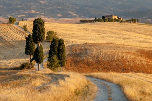 Campo toscano, Italia — Foto de Stock