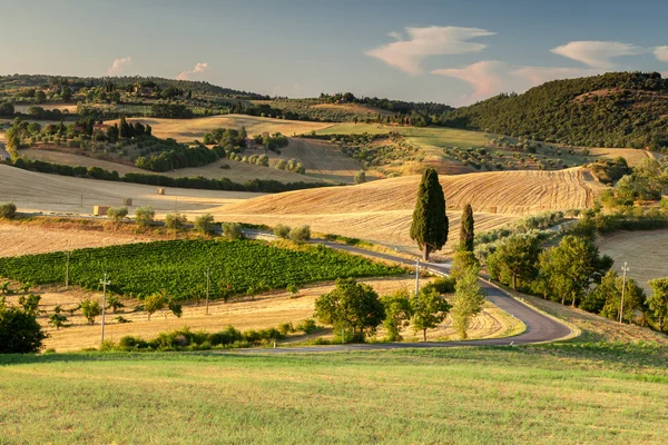 Campo toscano cerca de Pienza, Toscana, Italia —  Fotos de Stock