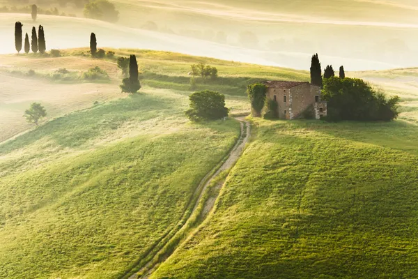 Temprano en la mañana en el campo, Toscana, Italia —  Fotos de Stock