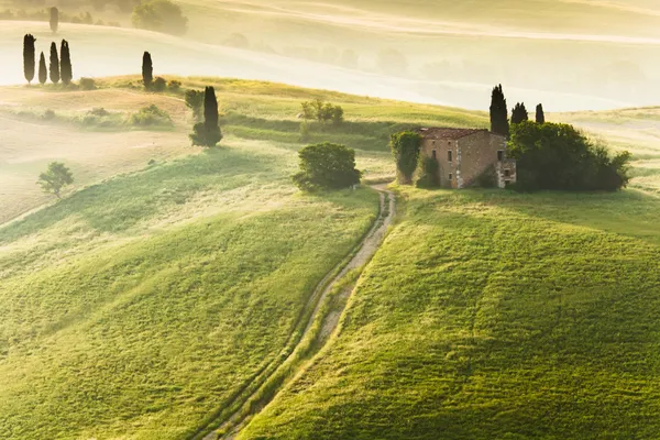 Раннее утро в сельской местности, Тоскана, Италия Стоковое Фото