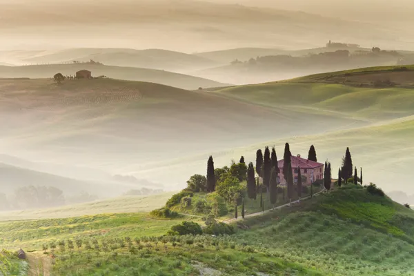 Раннее утро в сельской местности, Тоскана, Италия Лицензионные Стоковые Изображения