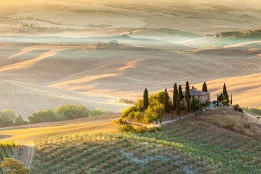 Sunrise in tuscan countryside, Tuscany, Italy clipart