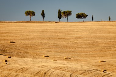 Sunrise tuscan countryside, Toskana, İtalya