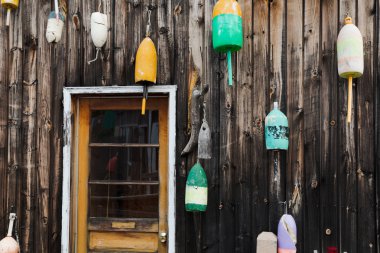 eski ıstakoz duvara yüzüyor.