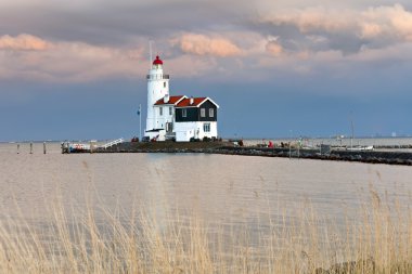 Deniz feneri paard van marken