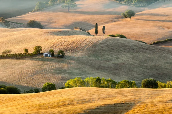 Alba nella campagna toscana vicino Pienza, Toscana, Italia — Foto Stock