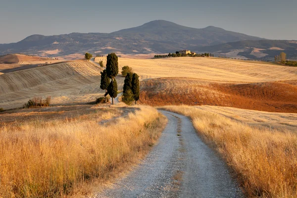 Toskanische Landschaft bei Sonnenuntergang, in der Nähe von Pienza, Toskana, Italien — Stockfoto