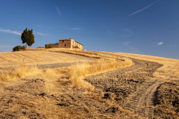 Tuscan kırsal sonra sunrise, pienza, Toskana, İtalya — Stok fotoğraf